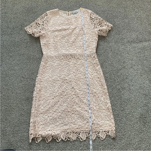 Coast Lace Shift Mini Dress Size 16 Short Sleeve Blush Pink Back Zip - Picture 10 of 12